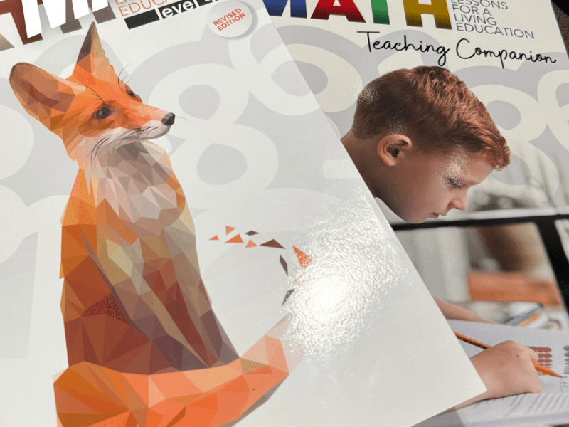 Why Gentle Doesn’t Mean Weak: Our Honest Review of Master Books’ Math Lessons for a Living&nbsp;Education